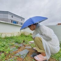 우산 모자 자외선차단 비차단 귀여운 농사모자 헬멧우산 자유로운 우중작업