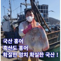 100% 국산 암치 홍어 흑산도 홍어 500G 1KG 삼합 혼술 제철 삭힌홍어 회 무침 택배 진품  강한 숙성