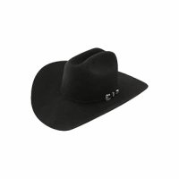 미국 스탯슨 페도라 카우보이모자 Stetson Mens Skyline Hat 1353706