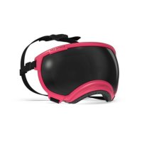 Rex Specs V2 GOGGLE 렉스스펙스 V2 강아지 고글 선글라스 MEDIUM  Yazberry