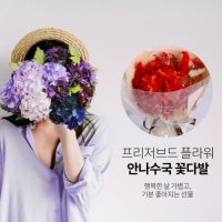 기분 좋아지는 선물 수국꽃다발 (프리저브드 플라워)  민트