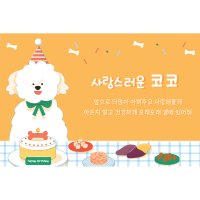 홈파티 생일파티 반려견 반려묘 강아지 고양이 생일현수막 제작 가족  마감선택  아일렛+큐방