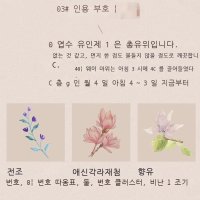 고체 향고 전신 유향 지속 소나무 연한 향기 휴대용 고체 향체 고약 남녀  3#