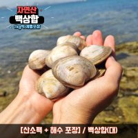 해감 백상합 상합 백합 생합 백생합 조개 구이 탕 찜  5kg  백상합(대)  1개