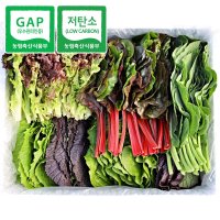 [청년프레쉬] 충북 충주 GAP 모듬 쌈채소 샐러드야채 600g 1kg 로메인 케일 양상추 치커리 적근대 적겨자  모듬 쌈채소 1kg  1개