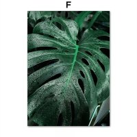 몬스테라액자 희귀 식물 플랜테리어 거실 인테리어 열대 우림 풍경 벽 화가 동물 포스터  40x60cm 프레임 없음  5