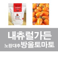 화분백화점 실습용 텃밭가꾸기 키트 내츄럴가든 노랑대추방울토마토  (화이트-방울토마토)