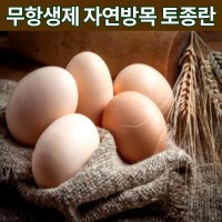 동물복지 자연방사 6시내고향 난각번호1번 토종닭 알 자연방사 유정란 토종닭 알 토종란 자유 자연 방목계란 신선란 1번 계란 생계란 프리미엄 월간 계란 정기배송 30구 60구  토종