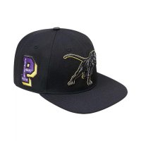 Pro Standard 남성용 프레리보기 A amp M Panthers Arch Over Logo Evergreen Snapback Hat