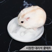 대리석 쿨매트 햄스터 고슴도치 여름용품