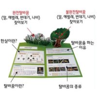 곤충 한살이 팝업북만들기 초등만들기키트 북아트 재료 DIY