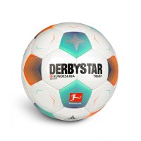 Derbystar 2023 24 분데스리가 오피셜 더비스타 매직 APS 공인구 매치볼 축구공 5호