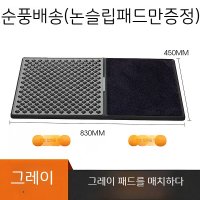 현관 신발소독 출입문 매트 주방 업소용 청결 위생관리 개업선물 11 K