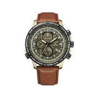 일본 시티즌 프로마스터 다이버 시계 Citizen Promaster 남성 AT819411X