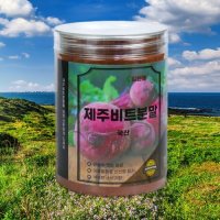 100 제주 레드비트분말가루 비트파우더 350g