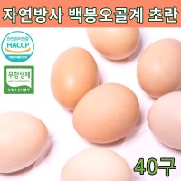 친환경 무항생제 동물복지 난각번호 1번 계란 오골계란 자연방사 백봉 오골계 알 부화용 이영자 초란 자연 방목계란 신선란 토종닭 유황 프리미엄 40구