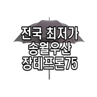 송월우산 장테프론75 방풍우산 최고급우산 강풍에 강한 골프용품 홀인원 필드용 장우산