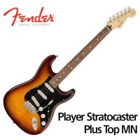 펜더 프리버드 Fender Mexico Player Stratocaster Plus