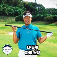 LPSwing 파워 업 스틱 스윙스피드 파워 훈련 장비