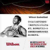 윌슨 WILSON NBA 6공 메시 농구 가방 정품보장