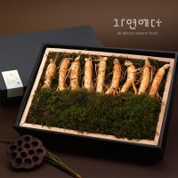 고려인삼 선물세트 1호 450g