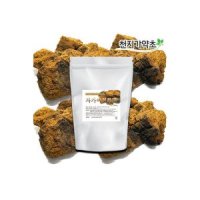 차가버섯분말 500g 250gX2봉 차가버섯가루