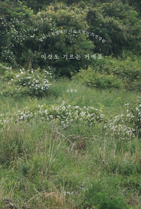 이것도 기르는 거예요  : 할머니 텃밭에서 가꾼 소박한 자연정원