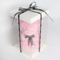 [플랜트랩] 기념일 선물 로즈데이 핑크장미곰돌이