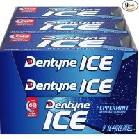 Dentyne 무설탕 페퍼민트껌 대용량 144개입