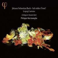 수입 J S 바흐 - 라이프치히 칸타타집 Philippe Herreweghe - J S Bach Cantatas