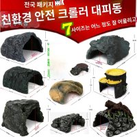 파충류 육지거북 도마뱀 은신처 육지거북이은신처