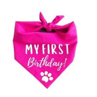 제네릭 My First Birthday 강아지 반다나 브라이트