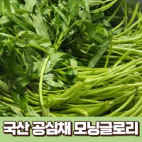 국산 공심채 모닝글로리 1kg 국내산 농장 산지 직송 공심채 베트남채소 모닝글로리볶음 공심채볶음 베트남야채 태국요리 태국음식 특수채소  1개