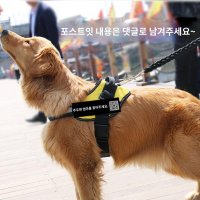 대형견하네스 몸줄 가슴줄 진돗개 강아지 S 중형견 애견 앞섬방지 앞고리