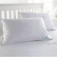 2 Pack Goose Down Feather Bed Pillows Standard Queen King Size Pillow 646628