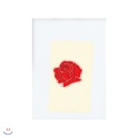 레이니 바이닐 엘피판 LANY Vinyl 2LP