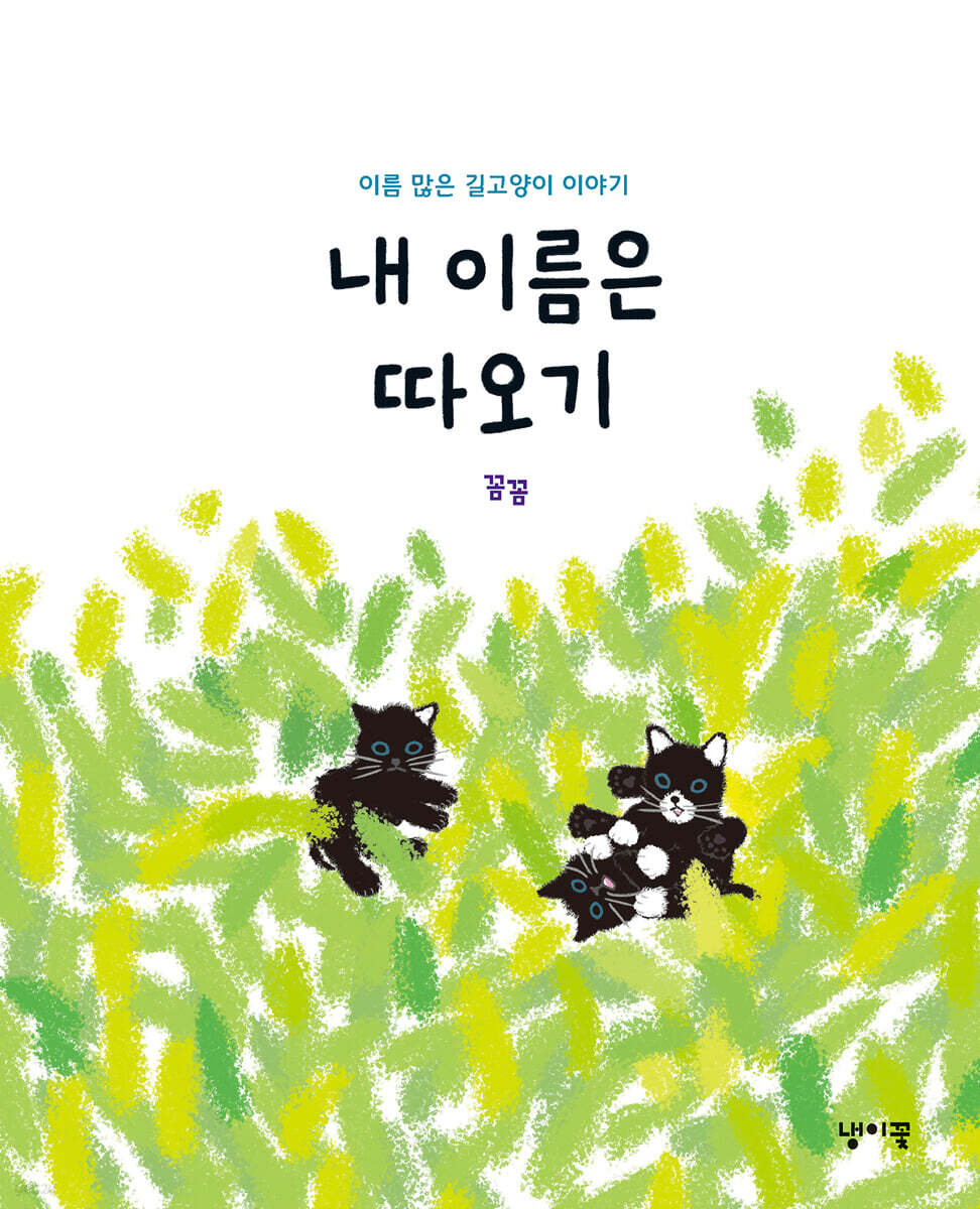 [점자]내 이름은 따오기: 이름 많은 길고양이 이야기 표지