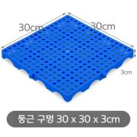 플라스틱 방습 패드 슈퍼마켓 패드 플라스틱 팔레트 창고 바닥 매트-둥근구멍두껍게30x30x3cm