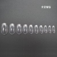 숏오발팁 / 클리어 50개입 숏오벌  8호