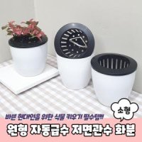 저면관수트레이 사무실책상화분 싼화분 물구멍없는화분 소형