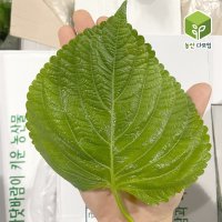 국내산 찹찹이 깻잎 2kg