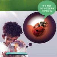 탑브라이트 어린이 개미키우기 배추흰나비기르기 곤충채집총 곤충 물고기 관찰 뷰어