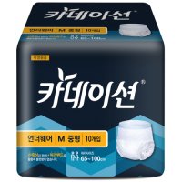 카네이션 요실금팬티 언더웨어 중형 4팩(40매)