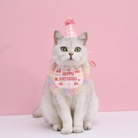 강아지 케이프 고양이 요정 생일모자 턱받이 머플러 레이스 도그빕 애견용품 파티햇 고깔모자 생일축하햇 세트