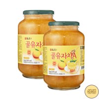 담터 유자청 꿀유자차A 2kg 2개