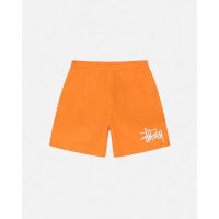 스투시 Stussy WATER SHORT 워터 쇼츠 수영복 바지 BIG 베이직 - Blaze 316054