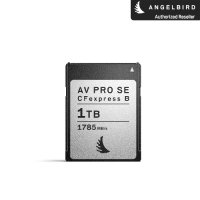 엔젤버드 AV PRO CFexpress SE Type B 1TB