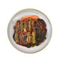 [남도미향] [롯데백화점] [남도미향] (소셜바이오)여수 돌산 삼채 갓김치 1kg
