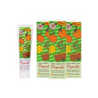 네이처스패밀리 프로폴리스 치약 (Nature’s Family Propolis Toothpaste)  1개  120g