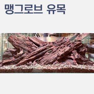 맹그로브유목 최저가 가성비상품